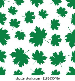 Seamless pattern with autumn maple leaves. Green leaves on white background. Vector illustration