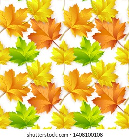 Seamless pattern with autumn maple leaves on white background,Vector illustration.