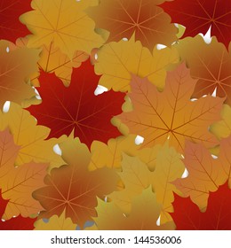 Seamless pattern from autumn maple leaves