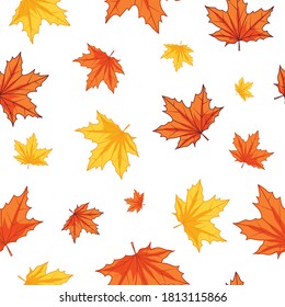 Seamless pattern of autumn maple leaves background, vector illustration