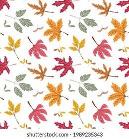 Seamless pattern with autumn maple leaves and seeds on white background. Flat style. For prints, backgrounds, wrapping paper, textile, wallpaper, etc. 