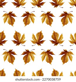 Patrón sin foco de hojas de arce de otoño. Ilustración de material vectorial eps10.