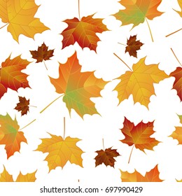 Seamless pattern with autumn maple leaves. Colorful autumn Background. Vector illustration for your design.