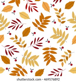 Seamless pattern with autumn oak, maple and rowan leaves isolated on white background. Vector template for design fabric.