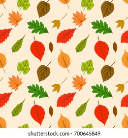 Seamless pattern with autumn outline leaves of different trees on a yellow background. Leaf Flat design Vector Illustration