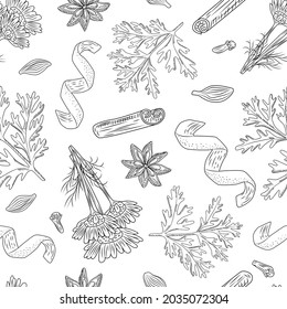 Seamless pattern autumn tea on white background. Beautiful texture herbal for packaging design tea. Repeated templateengraving style.Vector illustration.