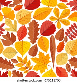 Seamless pattern with autumn tree leaves. Cartoon vector illustration.