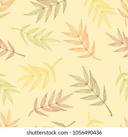 Seamless pattern of autumnal ashberry leaves