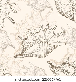 Seamless pattern background with abstract shell ornaments. Hand drawn nature illustration of ocean.