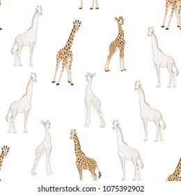 Seamless pattern, background  with adult giraffe and baby giraffe.  Realistic drawing, animalism. Vector illustration.  Isolated on white background.  Colored and outline drawing. 