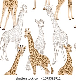 Seamless pattern, background  with adult giraffe and baby giraffe.  Realistic drawing, animalism. Vector illustration.  Isolated on white background.  Colored and outline drawing. 