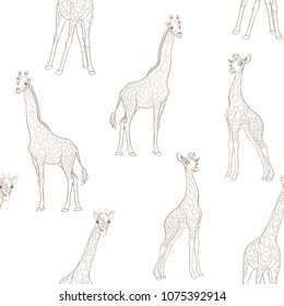 Seamless pattern, background  with adult giraffe and baby giraffe.  Realistic drawing, animalism. Vector illustration.  Isolated on white background.  Outline drawing. 