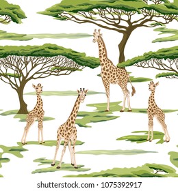 Seamless pattern, background  with adult giraffe and baby giraffe and trees.  Realistic drawing, animalism. Vector illustration.  Isolated on white background.  Outline drawing. 