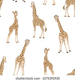 Seamless pattern, background  with adult giraffe and baby giraffe.  Realistic drawing, animalism. Vector illustration.  Isolated on white background.