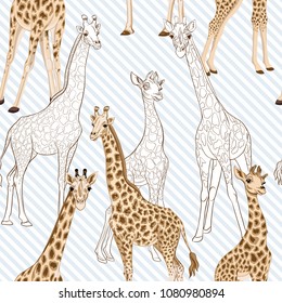 Seamless pattern, background  with adult giraffe and baby giraffe. On blue and white diagonal stripes background. Realistic drawing, animalism. Vector illustration.  Colored and outline drawing. 