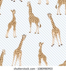 Seamless pattern, background  with adult giraffe and baby giraffe. On blue and white diagonal stripes background. Realistic drawing, animalism. Vector illustration.  