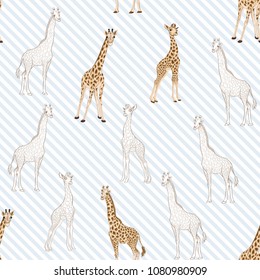Seamless pattern, background  with adult giraffe and baby giraffe. On blue and white diagonal stripes background. Realistic drawing, animalism. Vector illustration.  Colored and outline drawing. 
