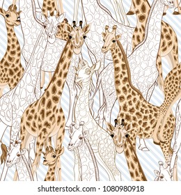 Seamless pattern, background  with adult giraffe and baby giraffe. On blue and white diagonal stripes background. Realistic drawing, animalism. Vector illustration.  Colored and outline drawing. 