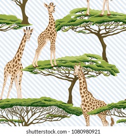 Seamless pattern, background  with adult giraffe and baby giraffe. On blue and white diagonal stripes background. Realistic drawing, animalism. Vector illustration.  