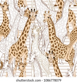 Seamless pattern, background  with adult giraffe and baby giraffe. On beige and white  stripes background. Realistic drawing, animalism. Vector illustration.  Colored and outline drawing. 