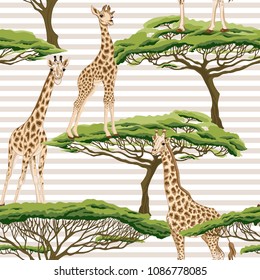 Seamless pattern, background  with adult giraffe and baby giraffe. On beige and white  stripes background. Realistic drawing, animalism. Vector illustration.  