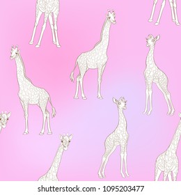 Seamless pattern, background  with adult giraffe and baby giraffe. on pink background. Realistic drawing, animalism. Vector illustration.  Outline drawing. 