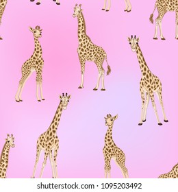 Seamless pattern, background  with adult giraffe and baby giraffe. on pink background. Realistic drawing, animalism. Vector illustration.  
