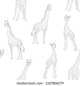 Seamless pattern, background  with adult giraffe and baby giraffe In monochrome gray colors. Realistic drawing, animalism. Vector illustration.  Outline drawing. 