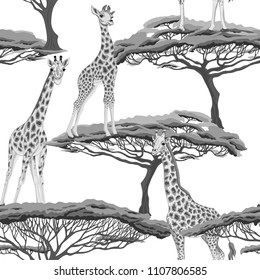 Seamless pattern, background  with adult giraffe and baby giraffe In monochrome gray colors. Realistic drawing, animalism. Vector illustration.  