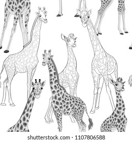 Seamless pattern, background  with adult giraffe and baby giraffe In monochrome gray colors. Realistic drawing, animalism. Vector illustration.  Colored and outline drawing. 