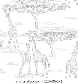 Seamless pattern, background  with adult giraffe and baby giraffe In monochrome gray colors. Realistic drawing, animalism. Vector illustration.  Outline drawing. 