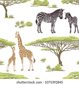 Seamless pattern, background  with adult zebra and giraffe  and zebra and giraffe cubs.  Realistic drawing, animalism. Vector illustration.  Isolated on white background.