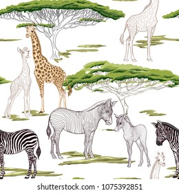 Seamless pattern, background  with adult zebra and giraffe  and zebra and giraffe cubs.  Realistic drawing, animalism. Vector illustration.  Isolated on white background. Colored and outline drawing.