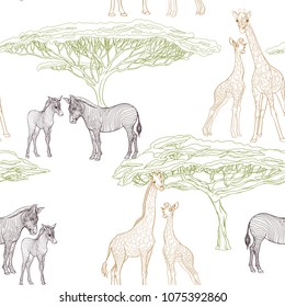 Seamless pattern, background  with adult zebra and giraffe  and zebra and giraffe cubs.  Realistic drawing, animalism. Vector illustration.  Isolated on white background. Outline drawing.