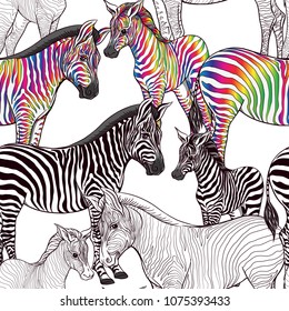 Seamless pattern, background  with adult zebra  and zebra cub.  Realistic drawing, animalism. Vector illustration.  Isolated on white background. Colored and outline drawing. 