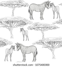 Seamless pattern, background  with adult zebra  and zebra cub.  Realistic drawing, animalism. Vector illustration.  Isolated on white background.  Outline drawing. 