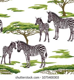 Seamless pattern, background  with adult zebra  and zebra cub.  Realistic drawing, animalism. Vector illustration.  Isolated on white background. 