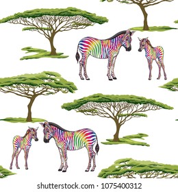 Seamless pattern, background  with adult zebra  and zebra cub.  Realistic drawing, animalism. Vector illustration.  Isolated on white background. 