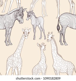 Seamless pattern, background  with adult zebra and giraffe  and zebra and giraffe cubs.  Realistic drawing, animalism. Vector illustration.  On soft yellow background. Outline drawing.