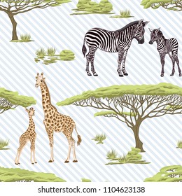 Seamless pattern, background  with adult zebra and giraffe  and zebra and giraffe cubs.  Realistic drawing, animalism. Vector illustration.  On blue and white diagonal stripes background.