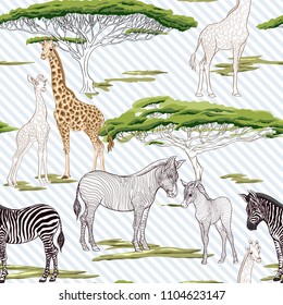 Seamless pattern, background  with adult zebra and giraffe  and zebra and giraffe cubs.  Realistic drawing, animalism. Vector .  On blue and white diagonal stripes background. Colored and outline draw