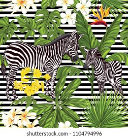 Seamless pattern, background  with adult zebra and zebra cubs with tropical plants and flowers.  Realistic drawing, animalism.  Vector illustration