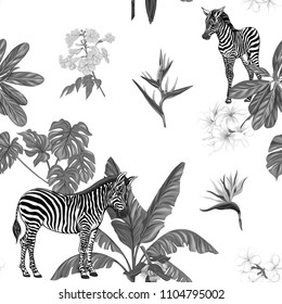 Seamless pattern, background  with adult zebra and zebra cubs with tropical plants and flowers.  Realistic drawing, animalism.  Vector illustration