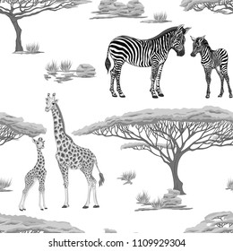 Seamless pattern, background  with adult zebra and giraffe  and zebra and giraffe cubs.  Realistic drawing, animalism. Vector illustration.  In monochrome gray colors