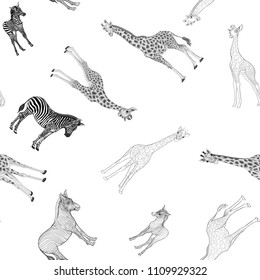 Seamless pattern, background  with adult zebra and giraffe  and zebra and giraffe cubs.  Realistic drawing, animalism. Vector illustration.  In monochrome gray colors. Colored and outline drawing.