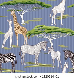Seamless pattern, background  with adult zebra and giraffe  and zebra and giraffe cubs.  Realistic drawing, animalism. Vector illustration.  On denim blue background. Colored and outline drawing.