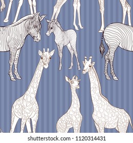 Seamless pattern, background  with adult zebra and giraffe  and zebra and giraffe cubs.  Realistic drawing, animalism. Vector illustration.  On denim blue  stripes background.