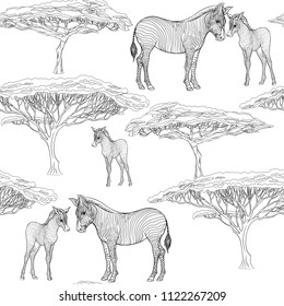 Seamless pattern, background  with adult zebra  and zebra cub.  Realistic drawing, animalism. Vector illustration. Colored and outline drawing. Outline drawing. 