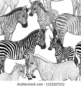 Seamless pattern, background  with adult zebra  and zebra cub.  Realistic drawing, animalism. Vector illustration.   Colored and outline drawing. 