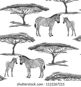 Seamless pattern, background  with adult zebra  and zebra cub.  Realistic drawing, animalism. Vector illustration. Colored and outline drawing. 